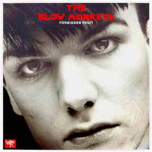 The Blow Monkeys - Forbidden Fruit download flac