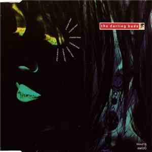 The Darling Buds - Crystal Clear download flac