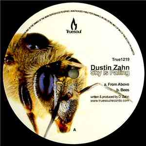 Dustin Zahn - Sky Is Falling download flac
