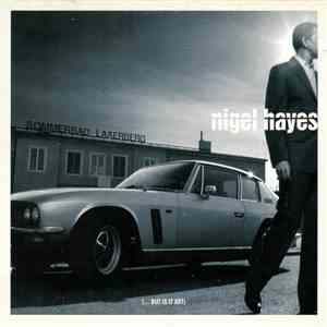 Nigel Hayes - (...But Is It Art) download flac