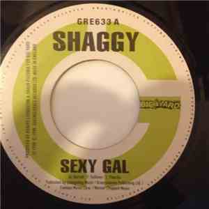 Shaggy - Sexy gal download flac