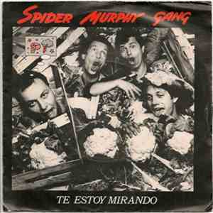 Spider Murphy Gang - Ich Schau' Dich An = Te Estoy Mirando download flac