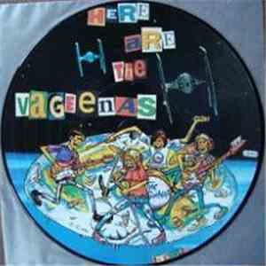 The Vageenas / Slide And The Question Marks - Here Are The Vageenas / Earworms download flac