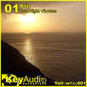 BL1TZ - Last Night Vibrates download flac