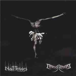 Nattesorg / Desmodus Rotundus - Split download flac
