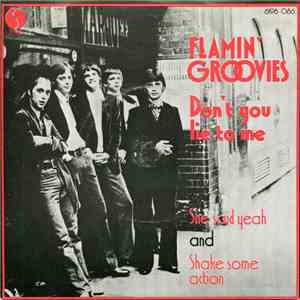 The Flamin' Groovies - Don't You Lie To Me download flac