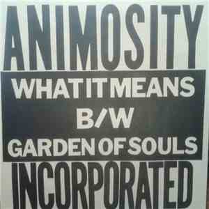 Animosity Incorporated - What It Means / Garden Of Souls download flac