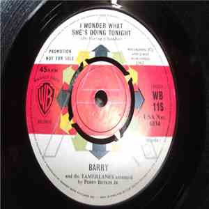 Barry And The Tamerlanes - I Wonder What She's Doing Tonight download flac