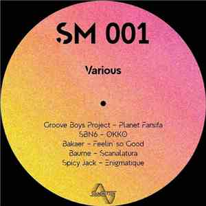 Groove Boys Project, SBN6, Bakaer, Baume, Spicy Jack - SM001 - Various artist download flac