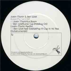 Justin Martin & Ben Watt - Buzzin' Fly Volume 2 EP download flac