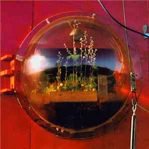 Primitive Motion - Home Of The Future download flac
