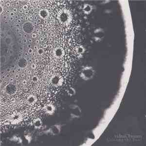 vidnaObmana - Crossing The Trail download flac