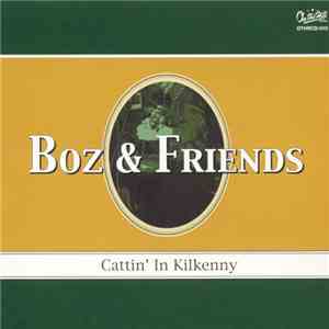 Boz Boorer - Cattin' In Kilkenny download flac