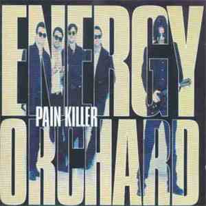 Energy Orchard - Pain Killer download flac