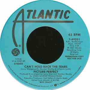 Picture Perfect  - Can't Hold Back The Tears download flac