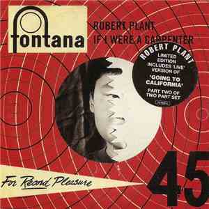 Robert Plant - If I Were A Carpenter download flac
