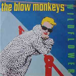 The Blow Monkeys - Wildflower download flac