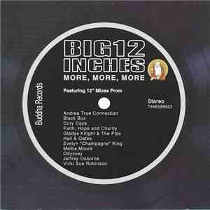 Various - Big 12 Inches (More, More, More) download flac