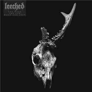 Leeched - You Took The Sun When You left download flac