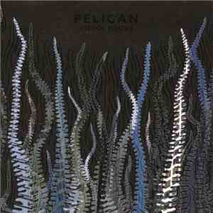 Pelican  - City Of Echoes download flac