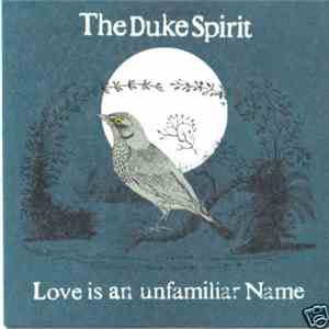 The Duke Spirit - Love Is An Unfamiliar Name FLAC album