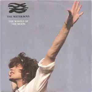 The Waterboys - The Whole Of The Moon download flac