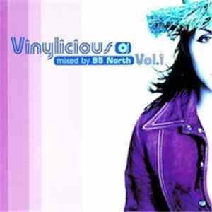 95 North - Vinylicious Vol. 1 download flac