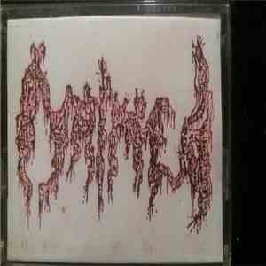 Maimed - Demo # 1 91 download flac