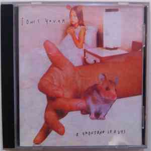 Sonic Youth - A Thousand Leaves download flac