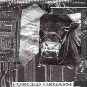 Forced Orgasm - Forced Noise Ends download flac