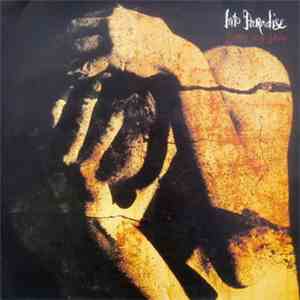 Into Paradise - Burns My Skin download flac
