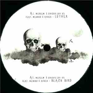 Medeew & Chicks Luv Us Feat Mesrod & Avner - Life Goes On download flac