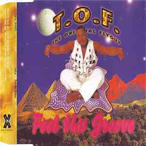 T.O.F. - Feel This Groove download flac