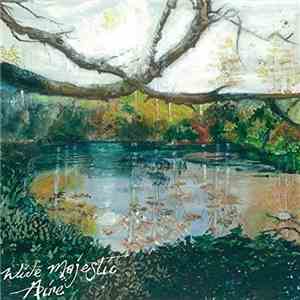 Trembling Bells - Wide Majestic Aire download flac