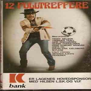 Various - 12 Fulltreffere download flac