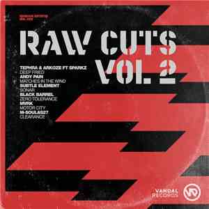 Various - Raw Cuts Vol. 2 download flac
