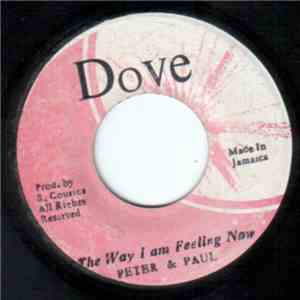 Peter & Paul  - The Way I Am Feeling Now download flac