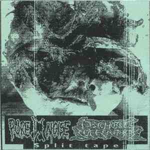 Pure Noise / Psychotic Sufferance - Split Tape download flac