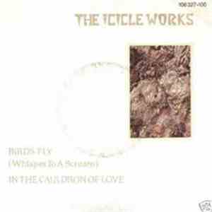 The Icicle Works - Birds Fly (Whisper To A Scream) / In The Cauldron Of Love download flac