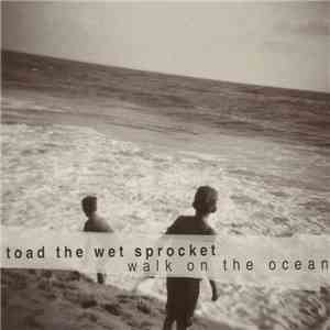 Toad The Wet Sprocket - Walk On The Ocean download flac