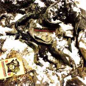 Waxolutionists - Counter Fight download flac