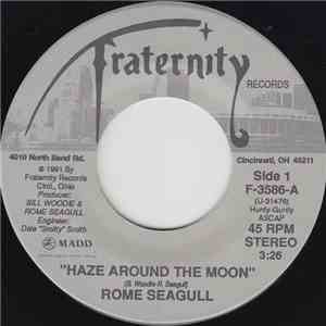 Rome Seagull - Haze Around The Moon download flac
