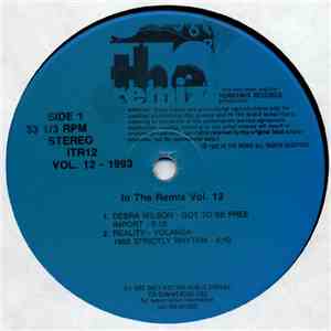 Various - In The Remix Vol. 12 download flac