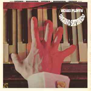 Beaks Plinth - Órgano Saturado download flac