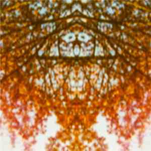 Cogitavi - A Venture Through Thoughts download flac