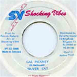Silver Cat  - Gal Pickney download flac