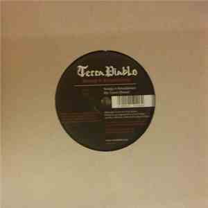 Terra Diablo - Swings & Roundabouts download flac