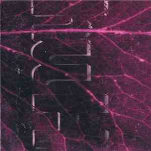 Various - hu H 16 download flac
