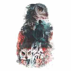Various - The Owls Are Not What They Seem: David Lynch Tribute Remixes download flac