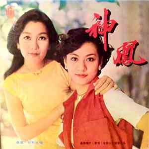 森森 & 斑斑 - 神鳳 download flac